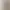 Eine Schüssel Vollkornreis mit Pilzen, Pflaumen und Petersilie